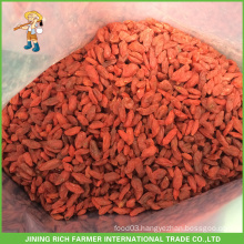 China Ningxia Zhongning Dried Goji